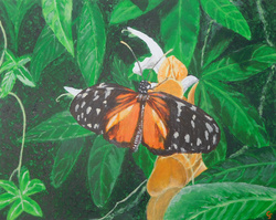 Painting: Rosita Checkerspot
